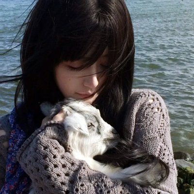 欲海女王蜂